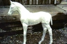 Aluminum Baby Colt Yard Art