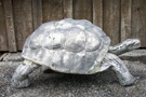 Aluminum Turtle Yard Art