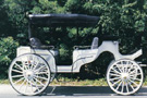 Horse Drawn Vis-A-Vis Carriage