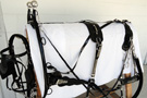 Plain Working Horse Harness