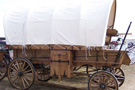 Horse Drawn Wagonette With Chuck Box