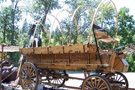 Horse Drawn Wagonette/Wooden Wheel Gear