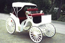 Horse Drawn White Victoria Carriage