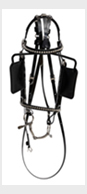 Horse Headstall Horse Headstall