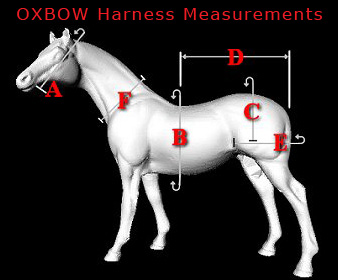 How to Measure a Horse Harness