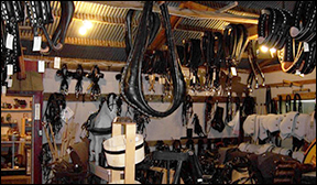 Horse Collars, Thames & Reins Horse Collars, Thames & Reins